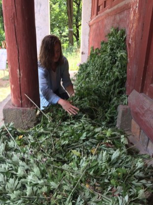 14e982b51c17913ee725cd54f6cdcf3