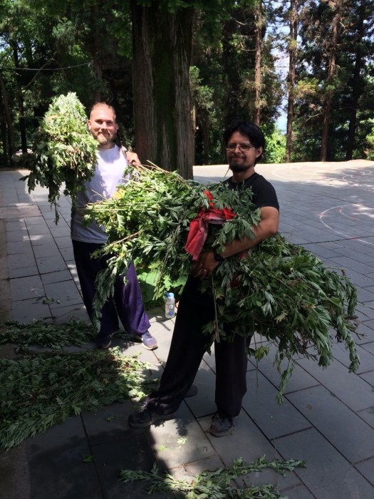 1e9f8c883a74e7cd0ea2d947a8c387a