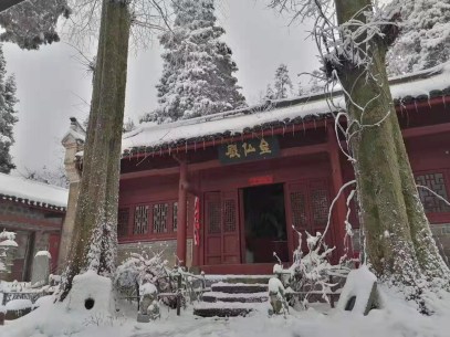 3d55408026eafe85a85b362c831b240