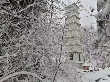 4bae89575d1c8d43c44cb99133f3d94