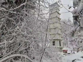 4bae89575d1c8d43c44cb99133f3d94