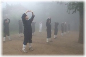 Videos Made By Students