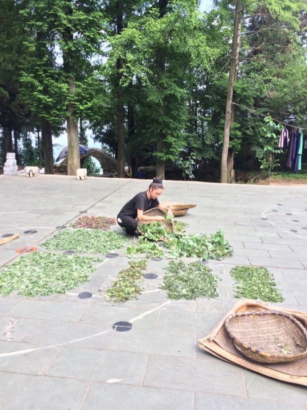 9e611ede2718cbbba879ccc1229bf03