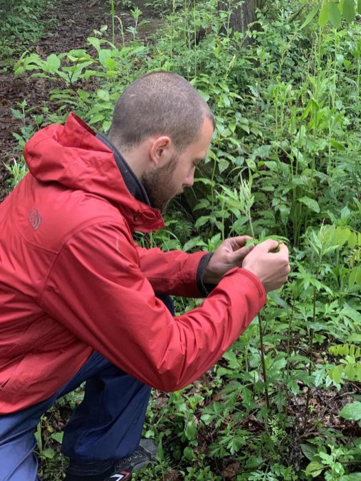 a5c7f0c56aeee77f03b31e87ebaf445