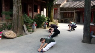 Wudang Kung Fu