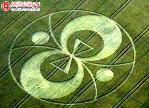 cropcircle1
