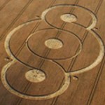 cropcircle2