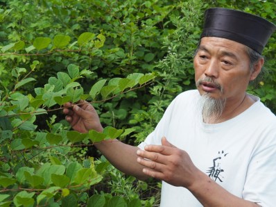 d6134b21e18a605cd9feaeef3ef9585