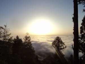 Five Immortals Temple, China