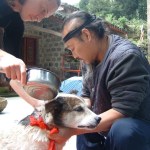 Five Immortals Temple, China