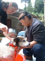 Five Immortals Temple, China