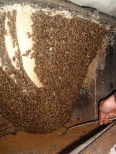 Five Immrotals Temple, China