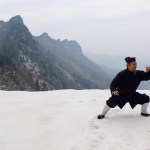 Wudang Tai Chi