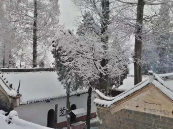 e6d34abe8391bc94206e4d64ca2e347