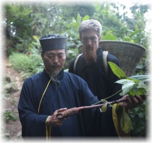 herbs wudang
