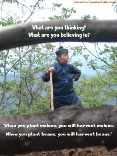 li shifu saying