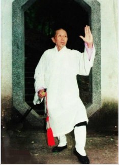 Grand Maître de Kung Fu de Wudang de la lignée Chun Yang.