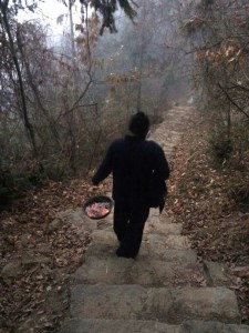 mmexport1453718441363