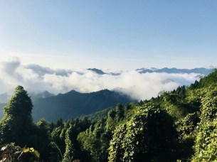 mmexport1538387440554