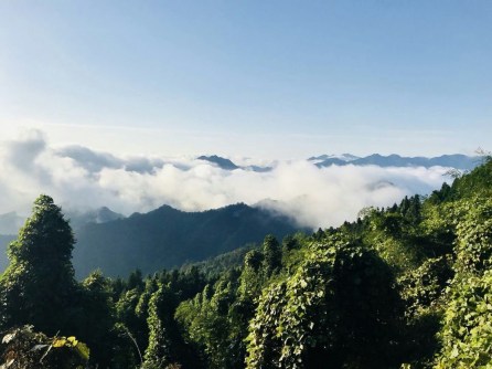 mmexport1538387440554