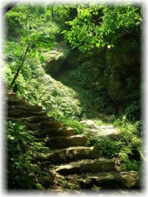 Stairs to Wudang Temple 