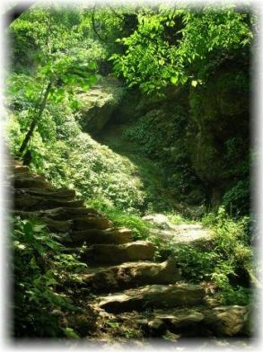 Stairs to Wudang Temple 