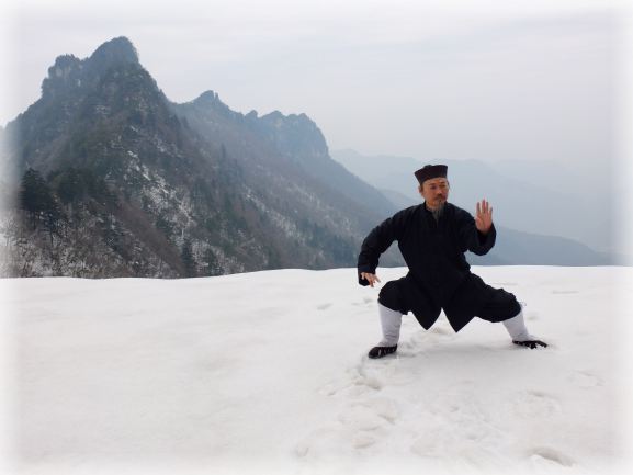 Wudang Taijiquan