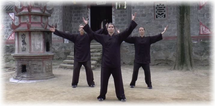 Daoyin Yangsheng Gong 