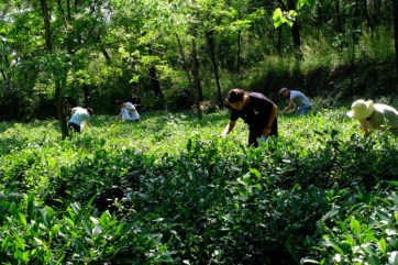 WeChat Image_20180502104205