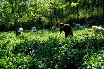 WeChat Image_20180502104205