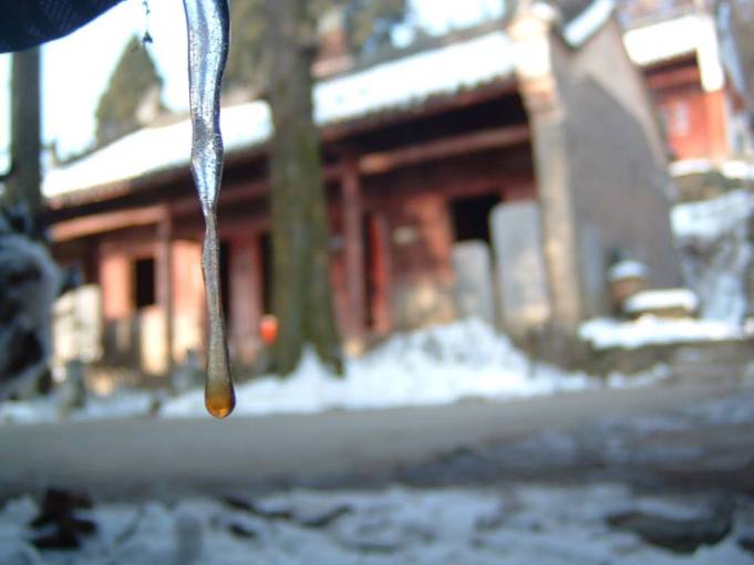 winter in five immortals temple is over